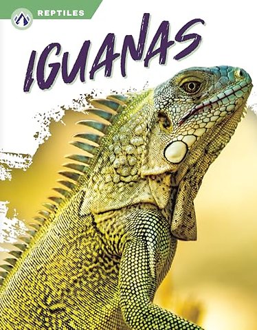Iguanas