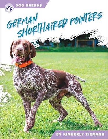 German Shorthaired Pointers