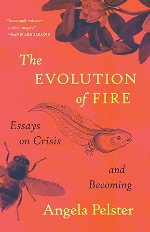 The Evolution of Fire