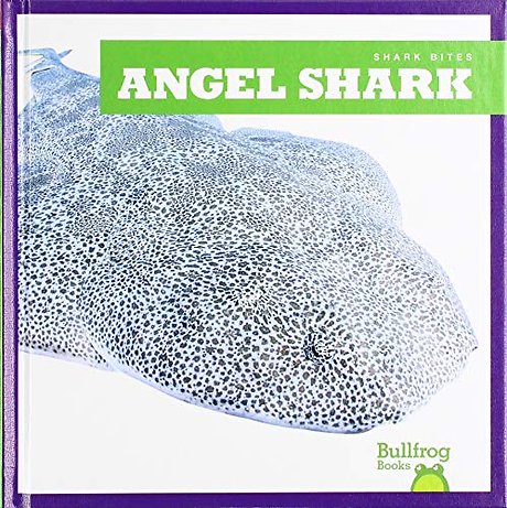 Angel Shark
