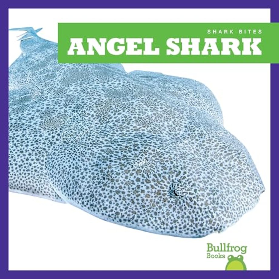 Angel Shark