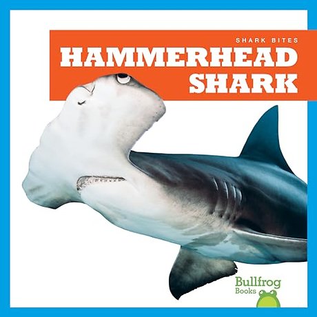 Hammerhead Shark