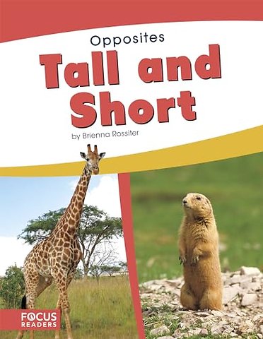 Tall and Short