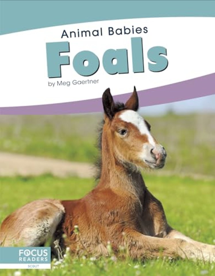 Foals