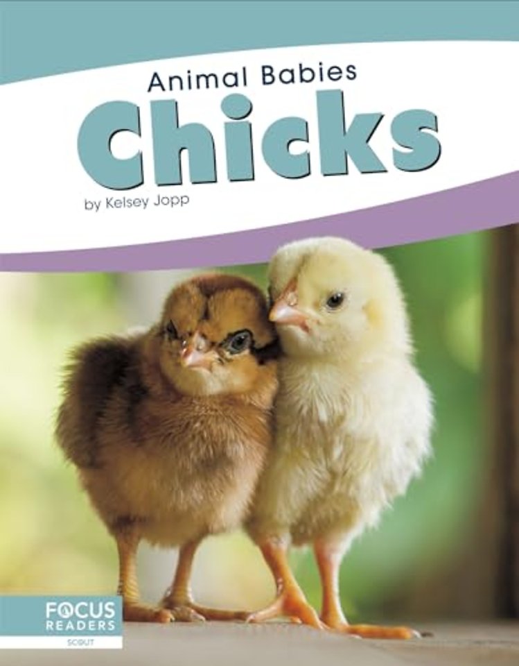 Chicks