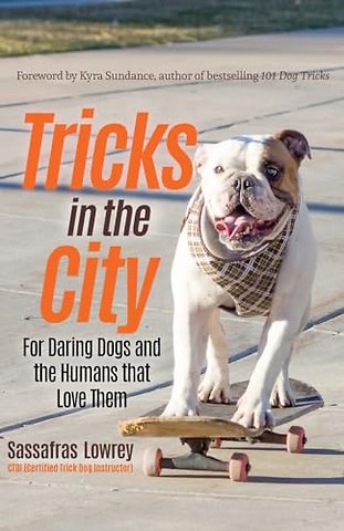 Tricks in the City