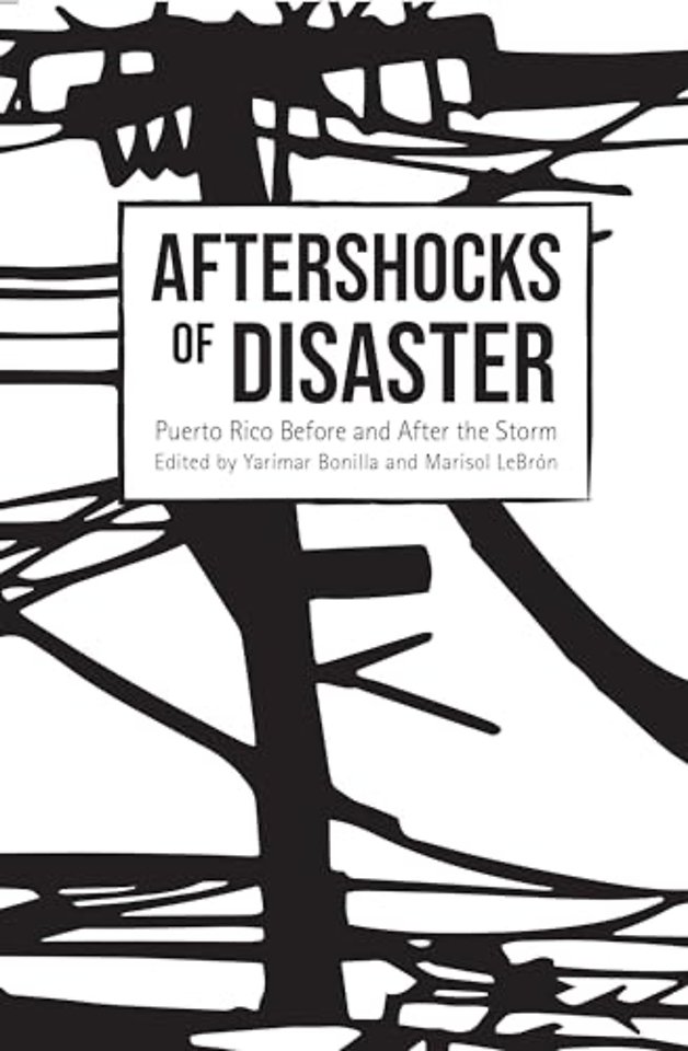 Aftershocks of Disaster