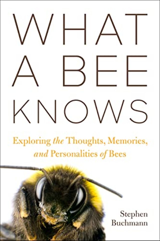 What a Bee Knows – Exploring the Thoughts, Memories, and Personalities of Bees
