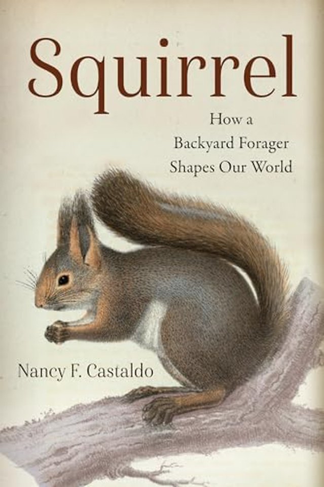 Squirrel – How a Backyard Forager Shapes Our World