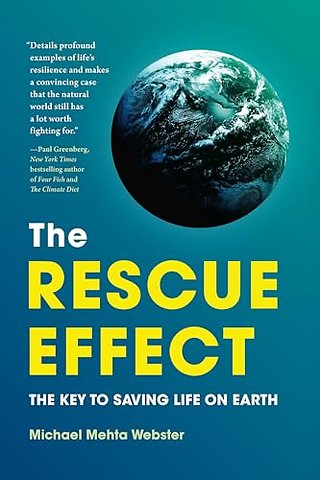 The Rescue Effect