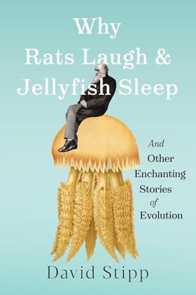 Why Rats Laugh and Jellyfish Sleep