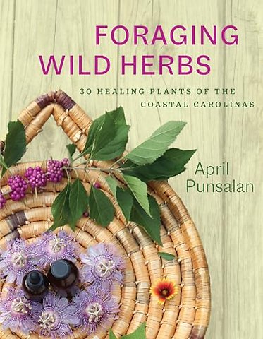 Foraging Wild Herbs – 30 Healing Plants of the Coastal Carolinas