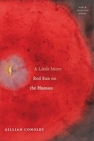 A Little More Red Sun on the Human