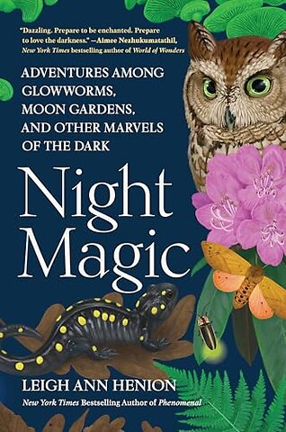 Night Magic
