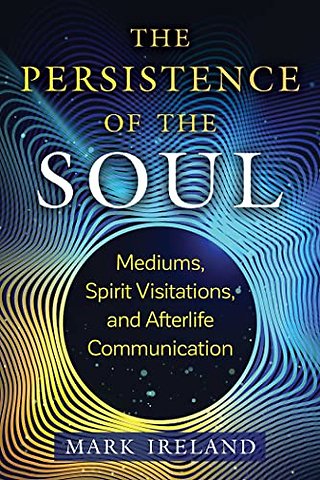 The Persistence of the Soul
