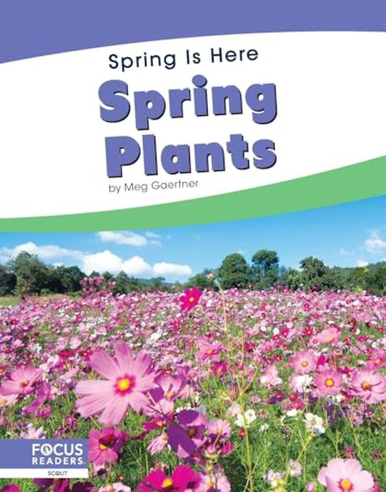 Spring Plants