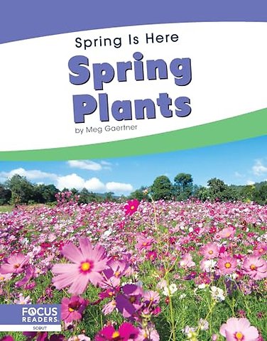 Spring Plants