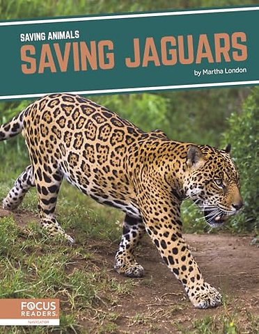 Saving Jaguars