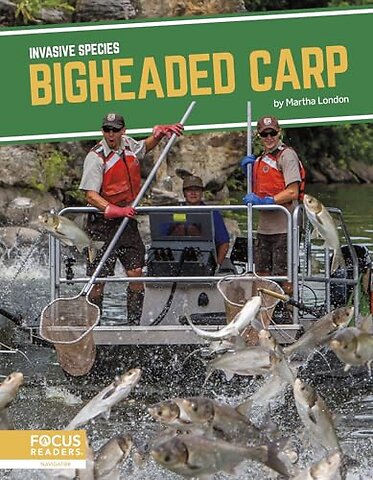 Bigheaded Carp