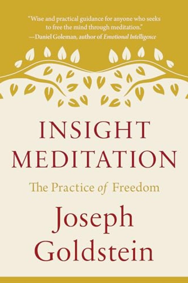 Insight Meditation