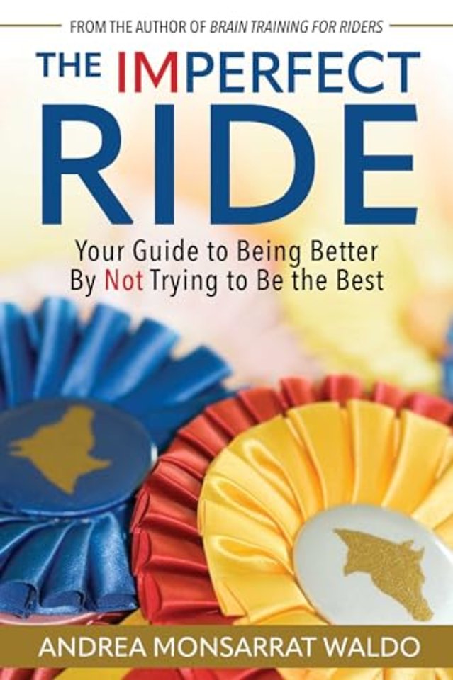 The Imperfect Ride