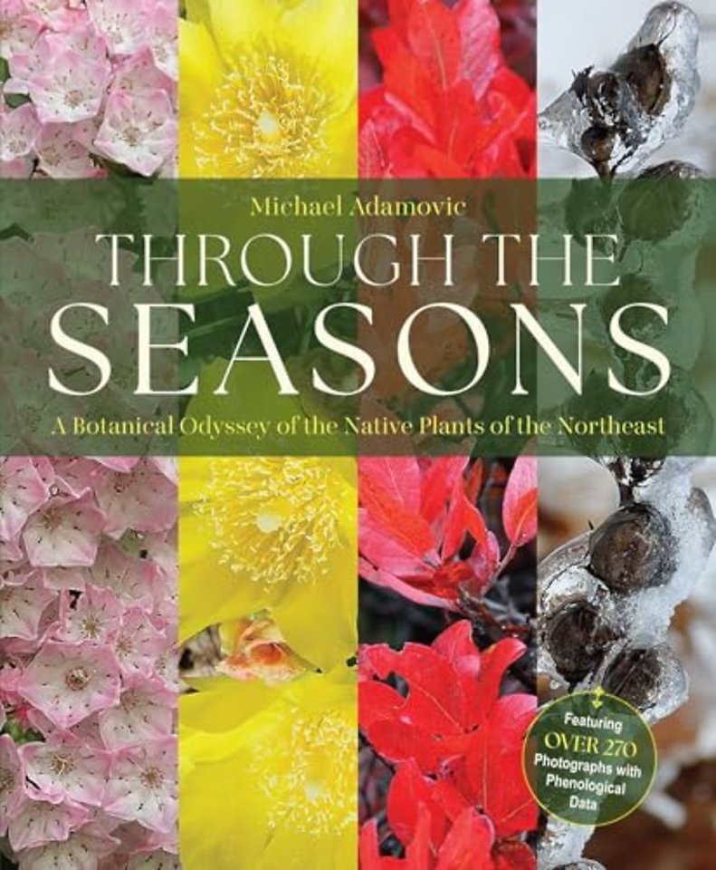 Through the Seasons