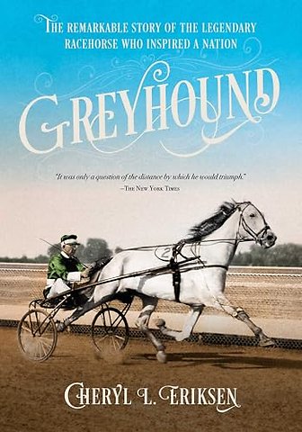 Greyhound