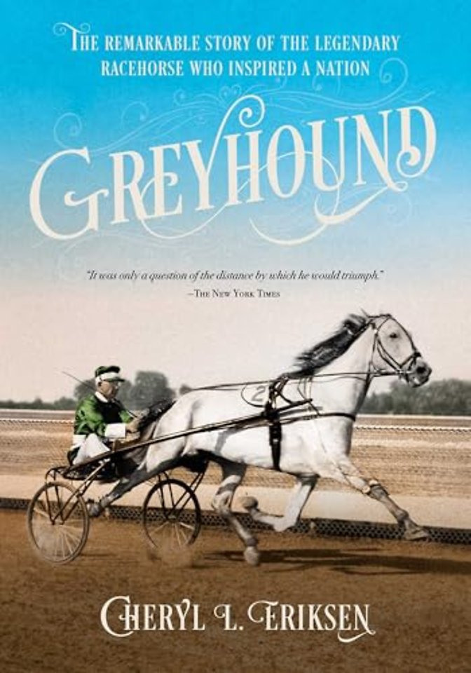 Greyhound