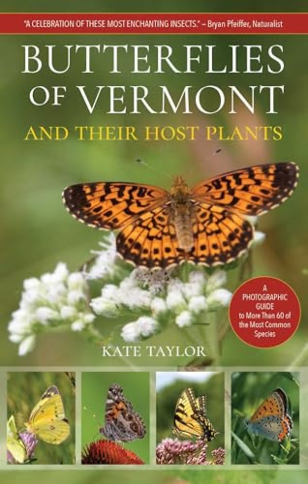 Butterflies of Vermont