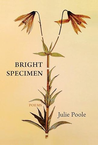 Bright Specimen