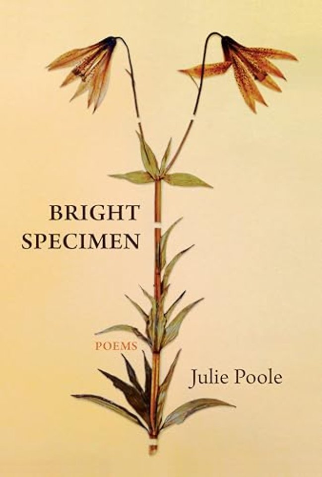 Bright Specimen