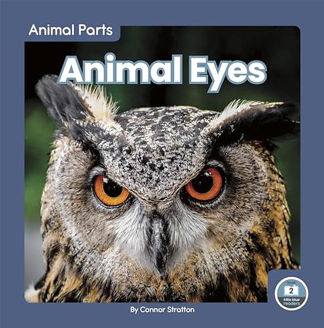 Animal Eyes