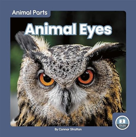 Animal Eyes