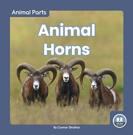 Animal Horns