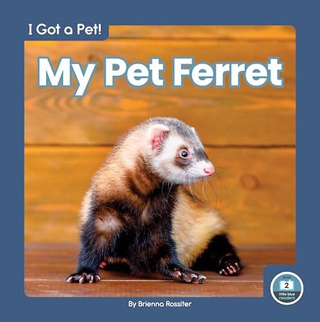 My Pet Ferret