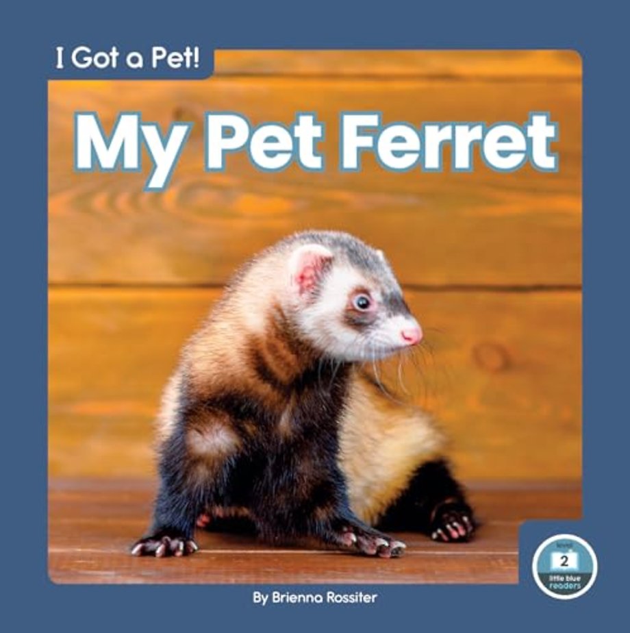 My Pet Ferret
