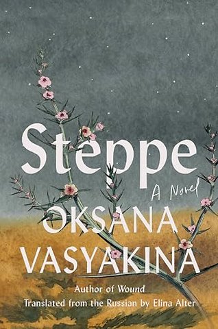 Steppe