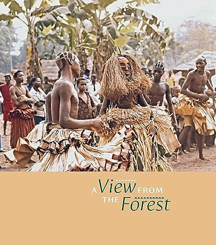 A View from the Forest