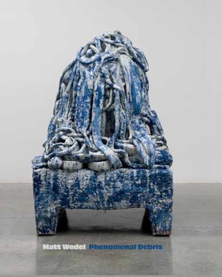 Matt Wedel: Phenomenal Debris
