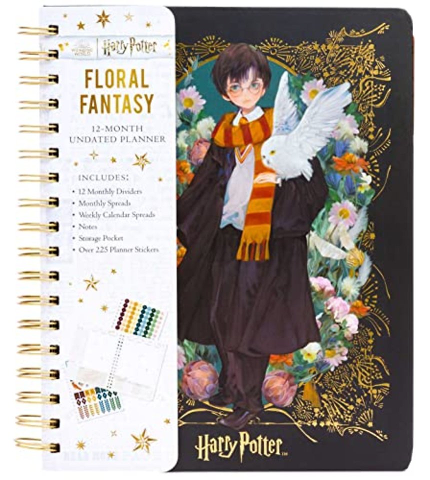 Harry Potter: Anime Fantasy 12 Month Undated Planner