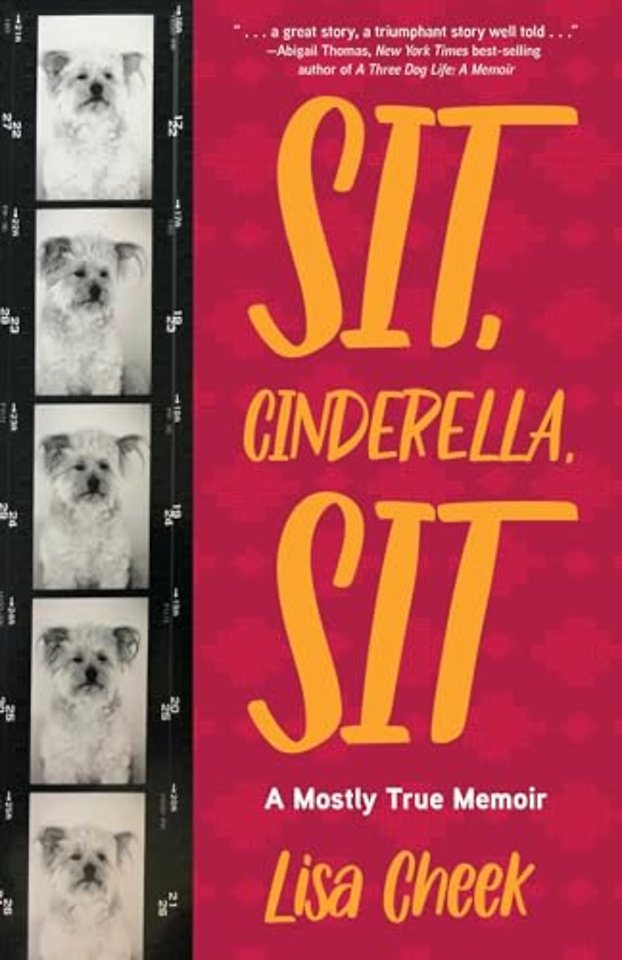 Sit, Cinderella, Sit