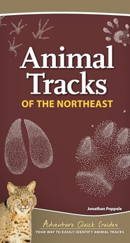 Animal Tracks of the Northeast