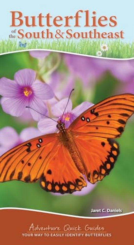 Butterflies of the South & Southeast