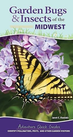 Garden Bugs & Insects of the Midwest