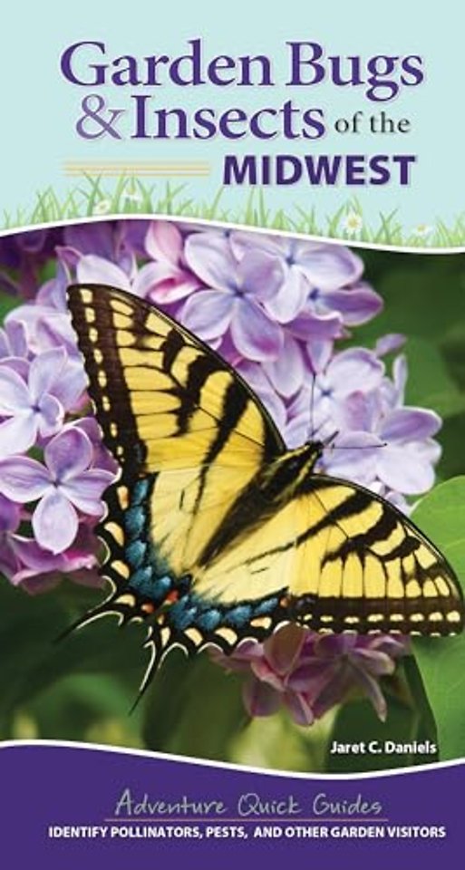 Garden Bugs & Insects of the Midwest