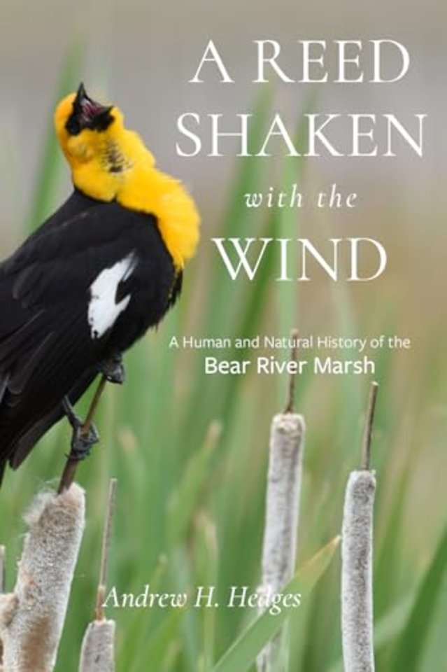 A Reed Shaken with the Wind – A Human and Natural History of the Bear River Marsh