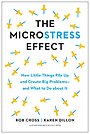 The Microstress Effect The Microstress Effect
