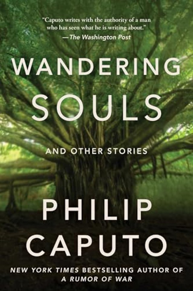 Wandering Souls