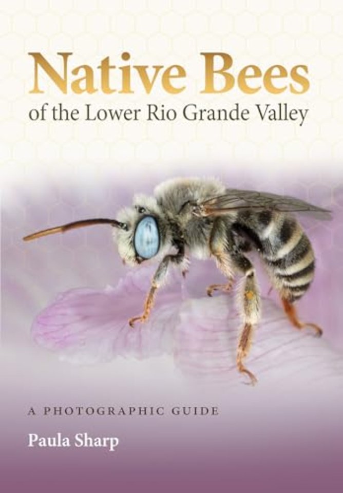 Native Bees of the Lower Rio Grande Valley – A Photographic Guide