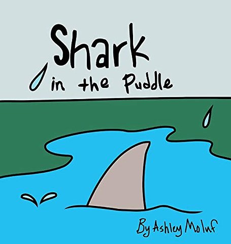 Shark in the Puddle
